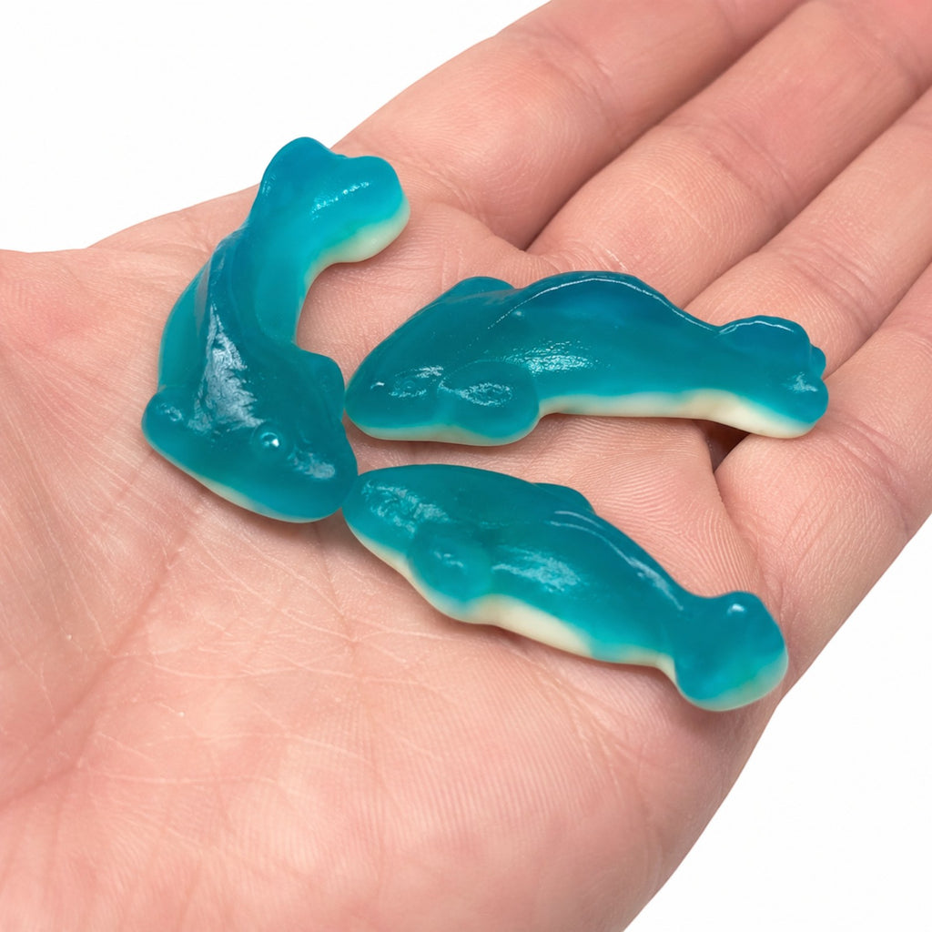 Gummy Sharks Sour Sharks or Sweet Sharks (Your Selection)
