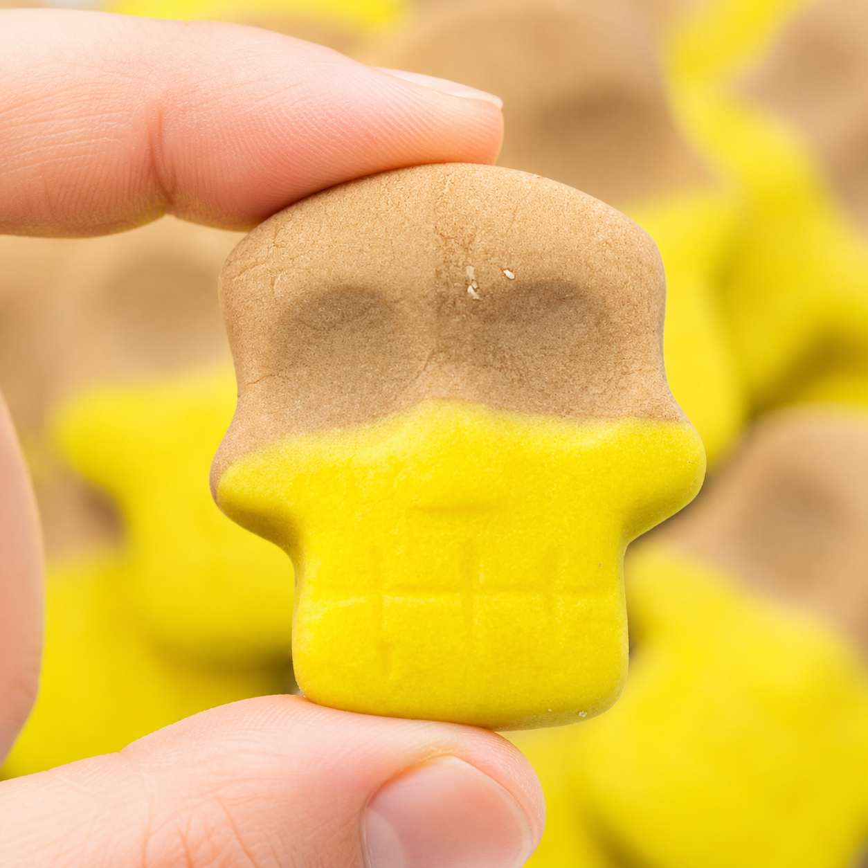 Swedish Style Gummy Candy | Bulk Candy (Your Selection)