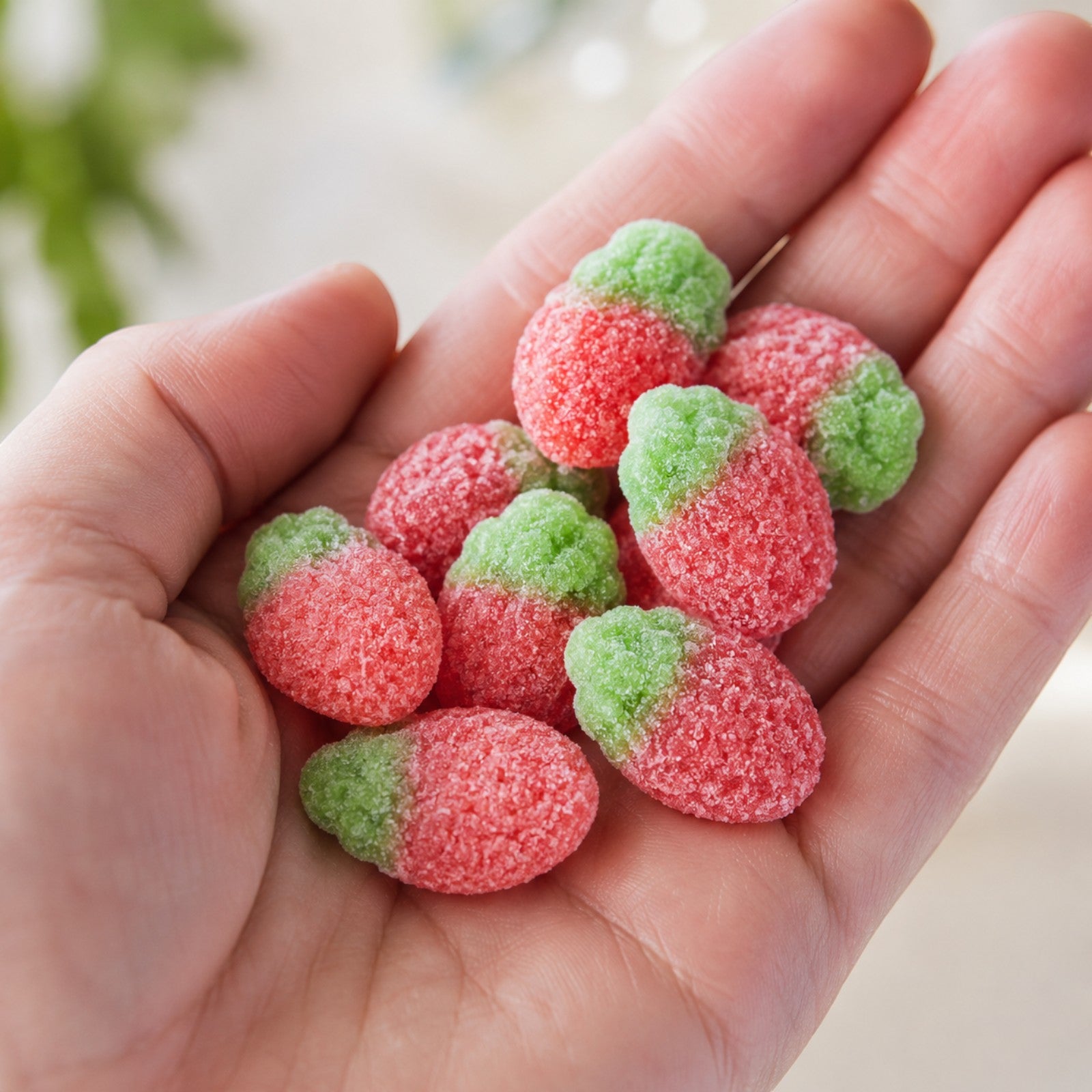 Wild Strawberry Gummy Candy | Bag of Gummies | Bulk Candy